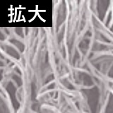 基本没有表面绒毛竖起，单纱损坏的现象的放大视图