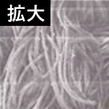 经过磨擦出现编织结 构走样绒毛竖起，单纱损伤现象的放大视图