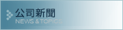 ˾